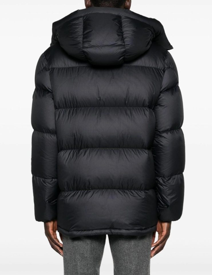 258bef815ff118d64deb0c2597ed8db7_1732260706_738.jpg 258bef815ff118d64deb0c2597ed8db7_1732260706_738.jpg