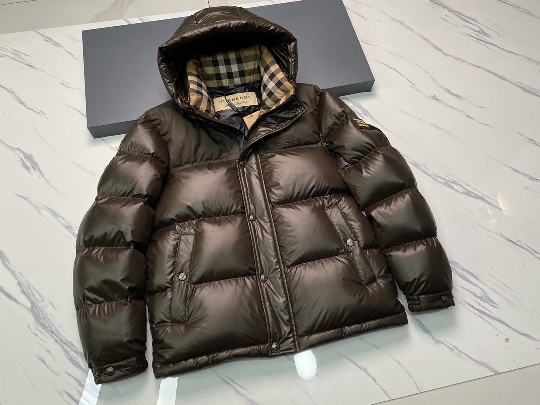 2a996a01aea73f28d62beb84af7f6fc2_1731639675_7212.jpg 2a996a01aea73f28d62beb84af7f6fc2_1731639675_7212.jpg