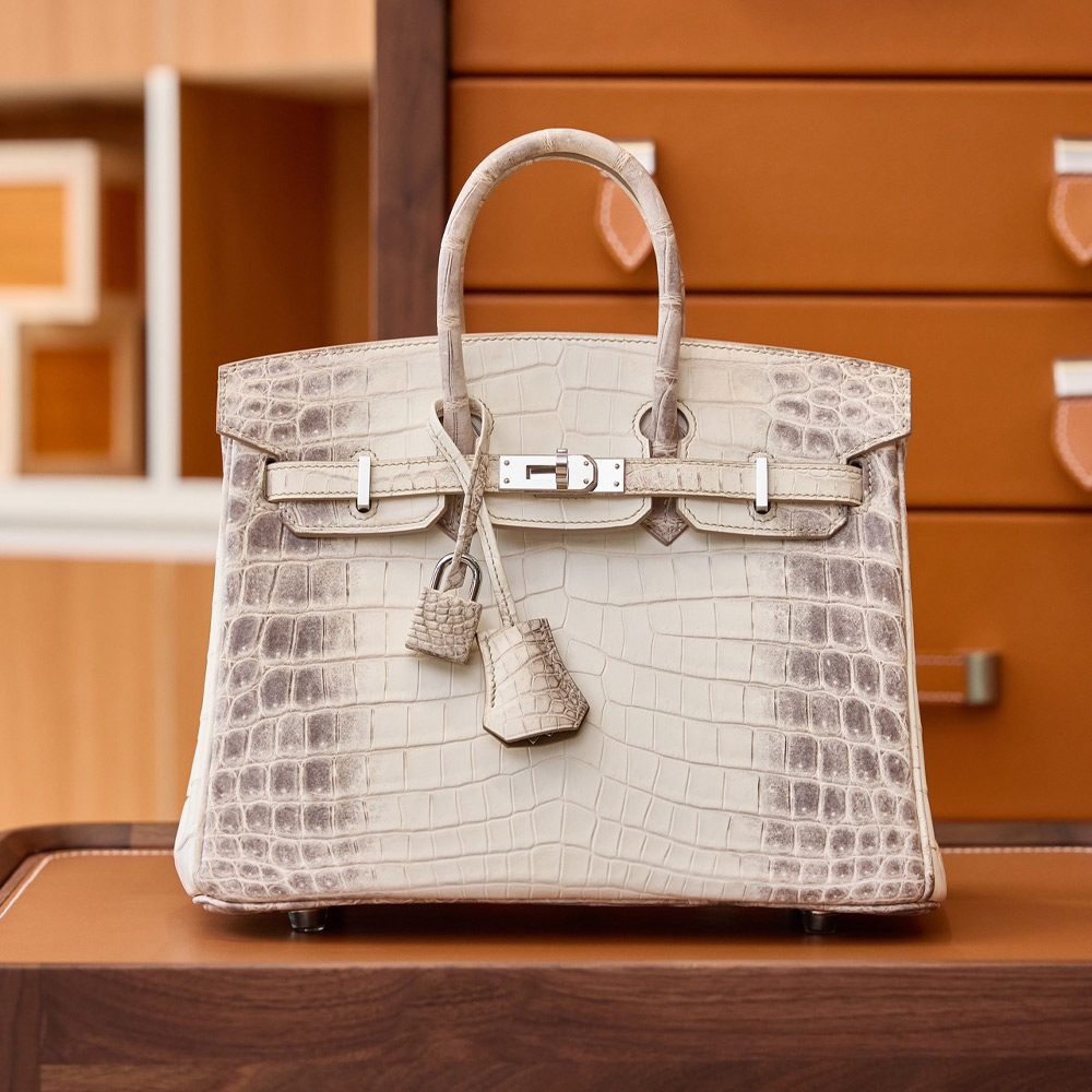 에르메스 올수공 버킨 25 히말라야 실버 버클