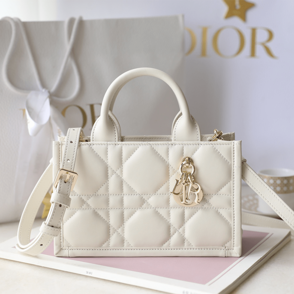 디올 북 토트 레더 백 미니 매크로 까나쥬 라떼