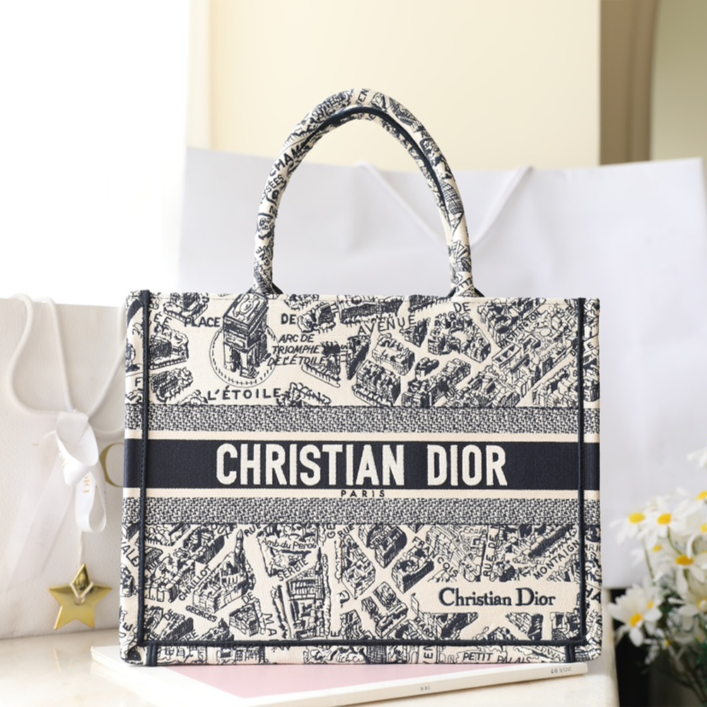 디올 Plan de Paris 자수 북 토트 미디엄 백