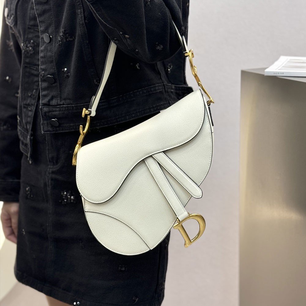 디올 새들 미듐 호보백 화이트