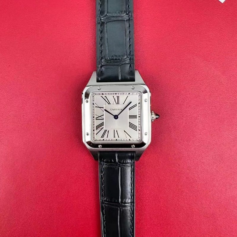 [더빠른배송] F1 산토스 뒤몽 라지 QC완료